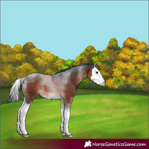 Horse Color:Brown Splash Tobiano 