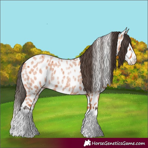 Horse Color:Bay Roan Splash Leopard 