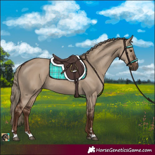 Horse Color:Liver Red Dun Rabicano 