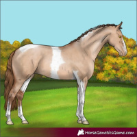 Horse Color:Brown Pearl Dun Tobiano