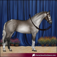 Horse Color:Gray Silver Brown Dun Tobiano Rabicano