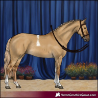 Horse Color:Chocolate Palomino Dun Tobiano Rabicano