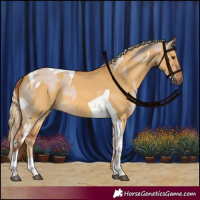 Horse Color:Red Dun Tobiano Rabicano  and Palomino Dun Tobiano 
