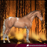 Horse Color:Gold Champagne Tobiano Rabicano 