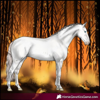 Horse Color:Smoky Creme Dun Tobiano Rabicano