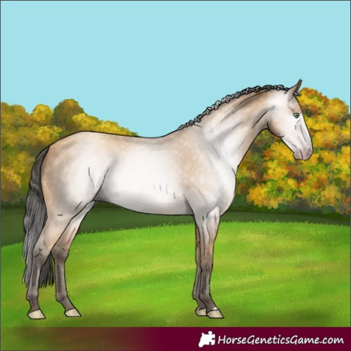 Horse Color:Gray Amber Cream Champagne