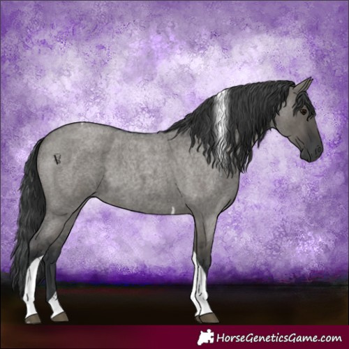 Horse Color:Grullo Roan Tobiano 