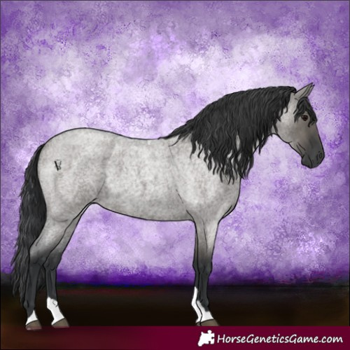 Horse Color:Grullo Roan Tobiano