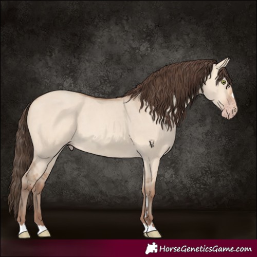 Horse Color:Amber Champagne Dun 