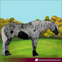 Horse Color:ERROR: UNKNOWN ANOMALY