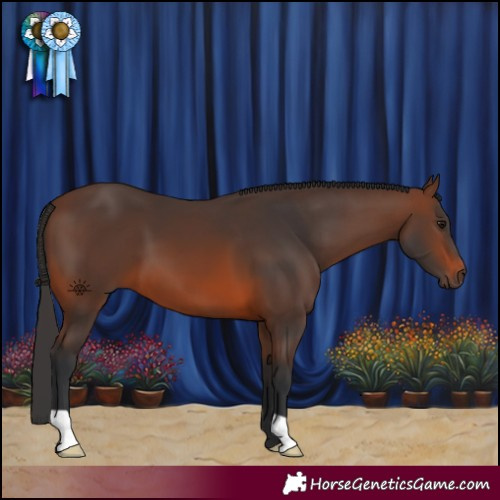 Horse Color:Brown 