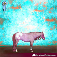 Horse Color:Watercolor Liver Red Roan Appaloosa 