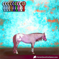 Horse Color:Watercolor Liver Red Roan Appaloosa 