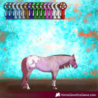 Horse Color:Watercolor Liver Red Roan Appaloosa 