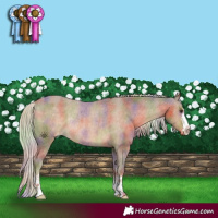 Horse Color:Nacre Chocolate Palomino Appaloosa Rabicano 