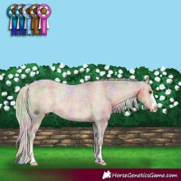 Horse Color:Nacre Chocolate Palomino Appaloosa Rabicano 