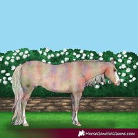 Horse Color:Nacre Chocolate Palomino Appaloosa Rabicano 