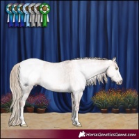 Horse Color:Gray Gold Champagne Ice Snowcap