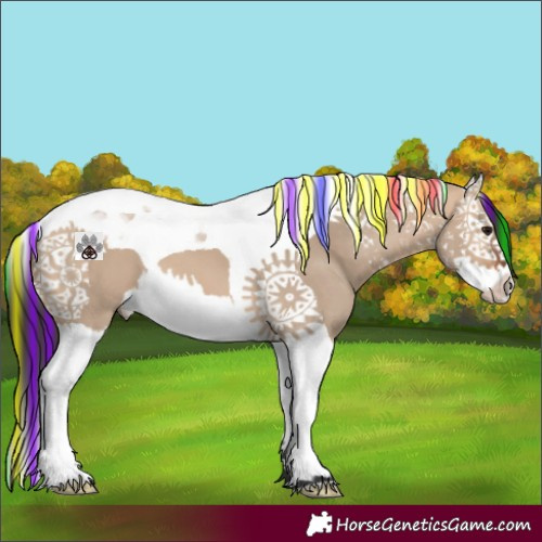 Horse Color:Painted Bay Dun Splash Tobiano 