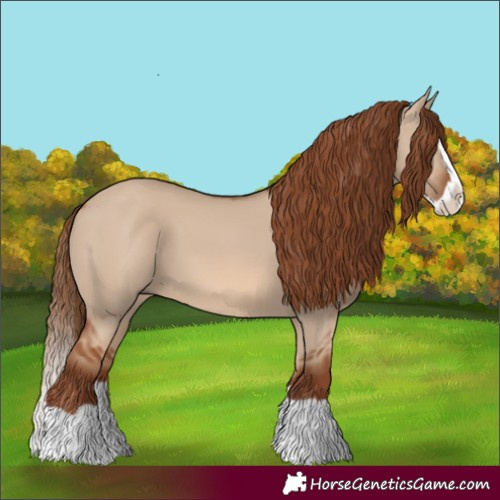 Horse Color:Unknown 