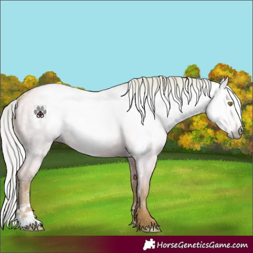 Horse Color:Gray Watercolor Silver Classic Champagne Dun 