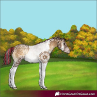 Horse Color:Gray Painted White Spotted Classic Champagne Onyx Rabicano 