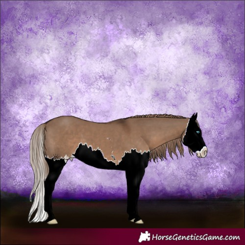 Horse Color:Liver Red Dun Splash 