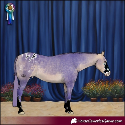 Horse Color:Watercolor Buckskin Appaloosa 