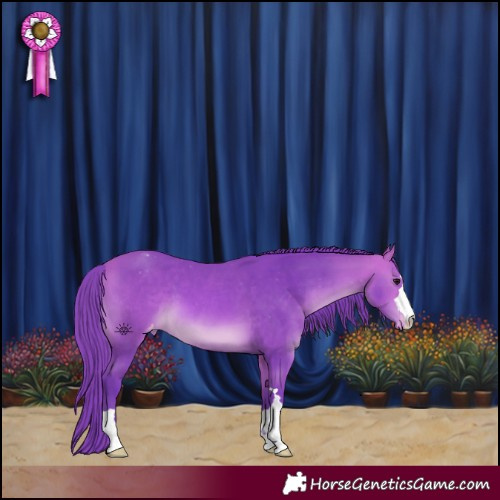 Horse Color:Watercolor Bay Varnish 