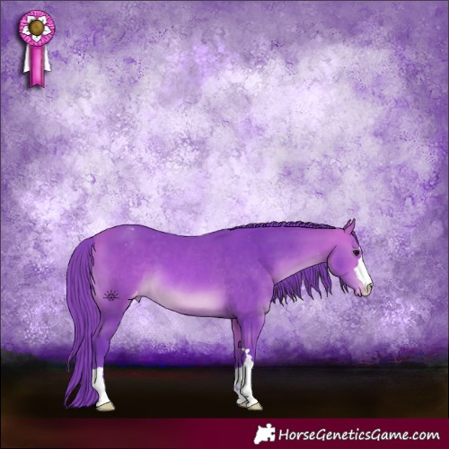 Horse Color:Watercolor Bay Appaloosa 