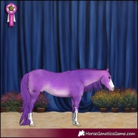 Horse Color:Watercolor Bay Appaloosa 