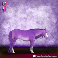 Horse Color:Watercolor Bay Appaloosa