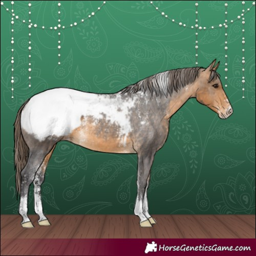 Horse Color:Powder White Buckskin Snowcap 
