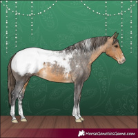 Horse Color:Powder White Buckskin Snowcap 