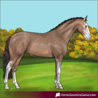 Horse Color:Sable Champagne Sabino
