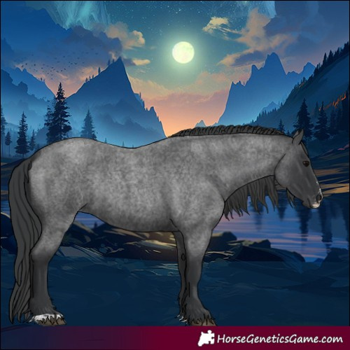Horse Color:Blue Roan Sabino Rabicano 