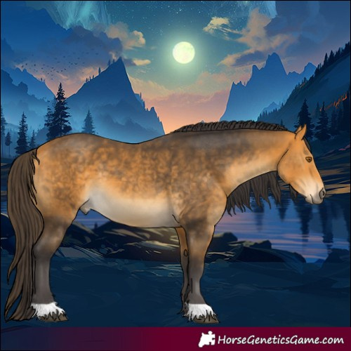 Horse Color:Buckskin 