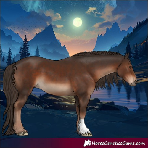 Horse Color:Liver Chestnut 
