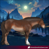 Horse Color:Liver Chestnut 