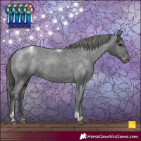 Horse Color:Black Tobiano Appaloosa Rabicano 
