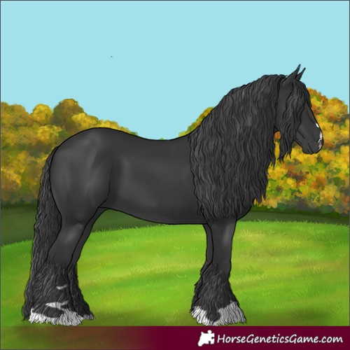 Horse Color:Unknown 