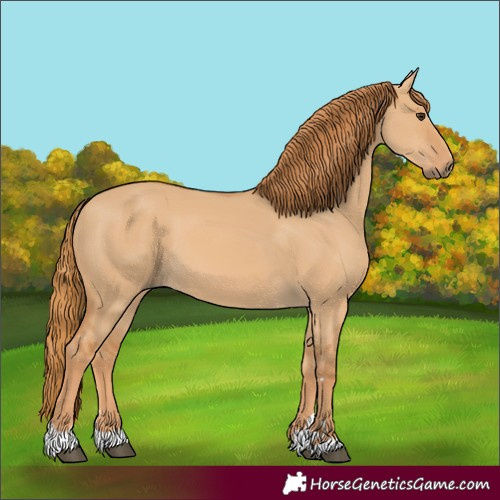 Horse Color:Red Dun