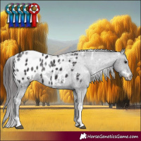 Horse Color:White Spotted Smoky Black Tobiano Appaloosa Rabicano 