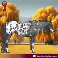 Horse Color:White Spotted Smoky Black Tobiano Appaloosa Rabicano