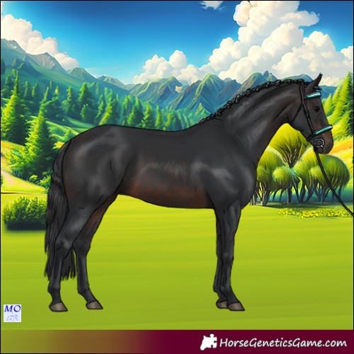 Horse Color:Brown 