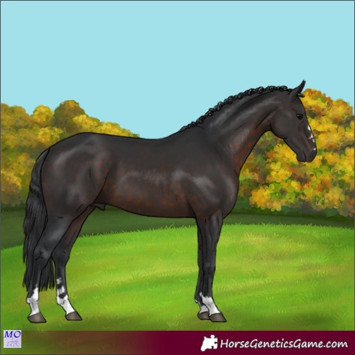 Horse Color:Brown 