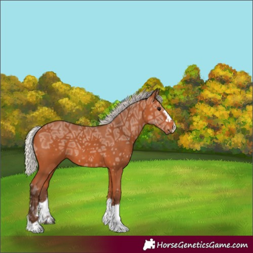 Horse Color:Silver Bay Ice 