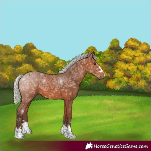 Horse Color:Silver Bay Ice