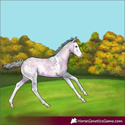 Horse Color:Watercolor White Spotted Silver Bay Ice Onyx Splash 