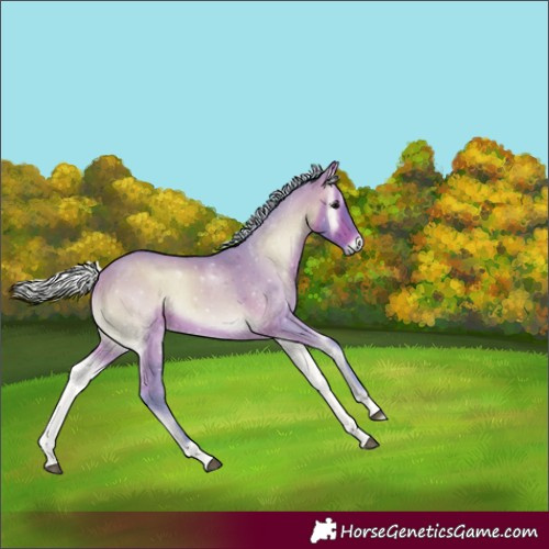 Horse Color:Watercolor Silver Bay Onyx 